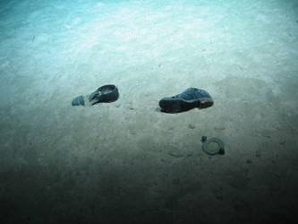 Pair of shoes on seabed